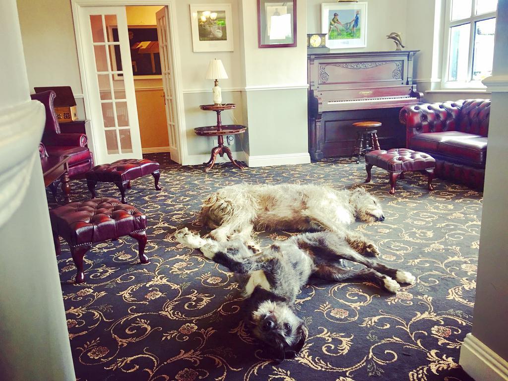 Milltown House Dingle Hotel Luaran gambar
